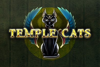 Templecats слот онлайн Онион Казино